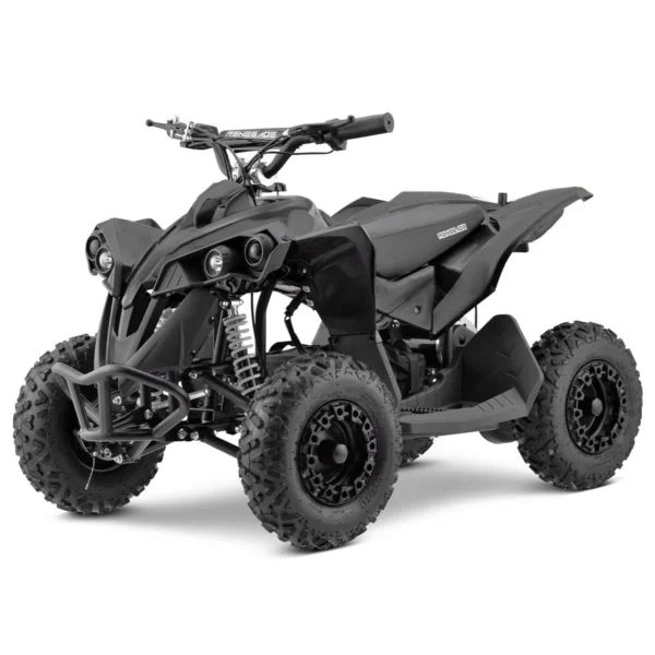 Renegade Race-X 36V 1000W Electric Mini Quad Bike - Image 2